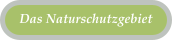 Das Naturschutzgebiet